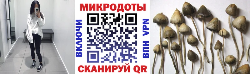 Галлюциногенные грибы ЛСД  Туймазы 